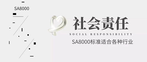 【圖3】SA8000標(biāo)準(zhǔn)：適合于各種行業(yè).png