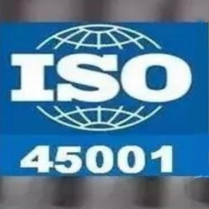 ISO 45001(2018版) 職業(yè)健康與安全管理體系標(biāo)準(zhǔn)